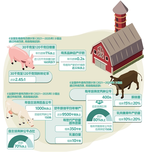 振興(xing) 畜禽業(ye)  “良種”要先行