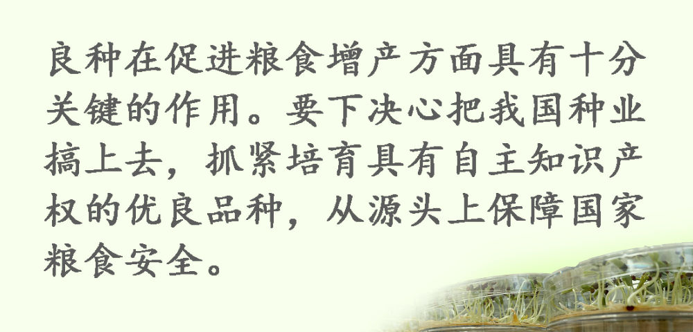 鏡觀·領航丨習(xi) 近平：這是一件具有戰略意義(yi) 的大事