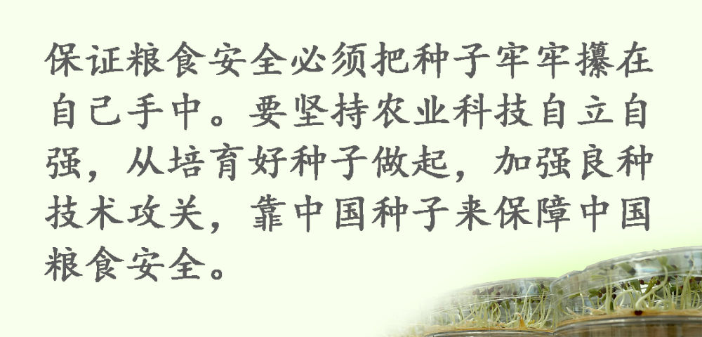 鏡觀·領航丨習(xi) 近平：這是一件具有戰略意義(yi) 的大事