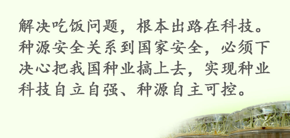 鏡觀·領航丨習(xi) 近平：這是一件具有戰略意義(yi) 的大事
