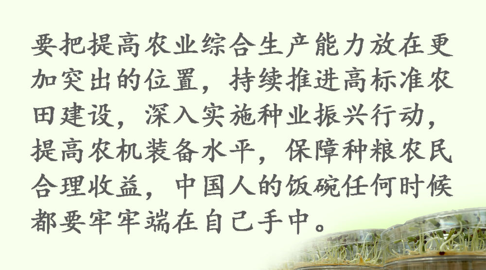 鏡觀·領航丨習(xi) 近平：這是一件具有戰略意義(yi) 的大事