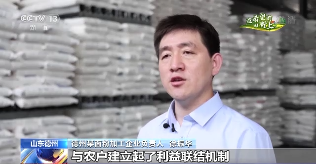 在希望的田野上·三夏時節丨抓緊搶收晚播小麥 確保顆粒歸倉(cang) 