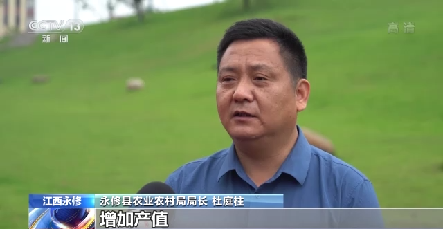 在希望的田野上·三夏時節丨抓緊搶收晚播小麥 確保顆粒歸倉(cang) 
