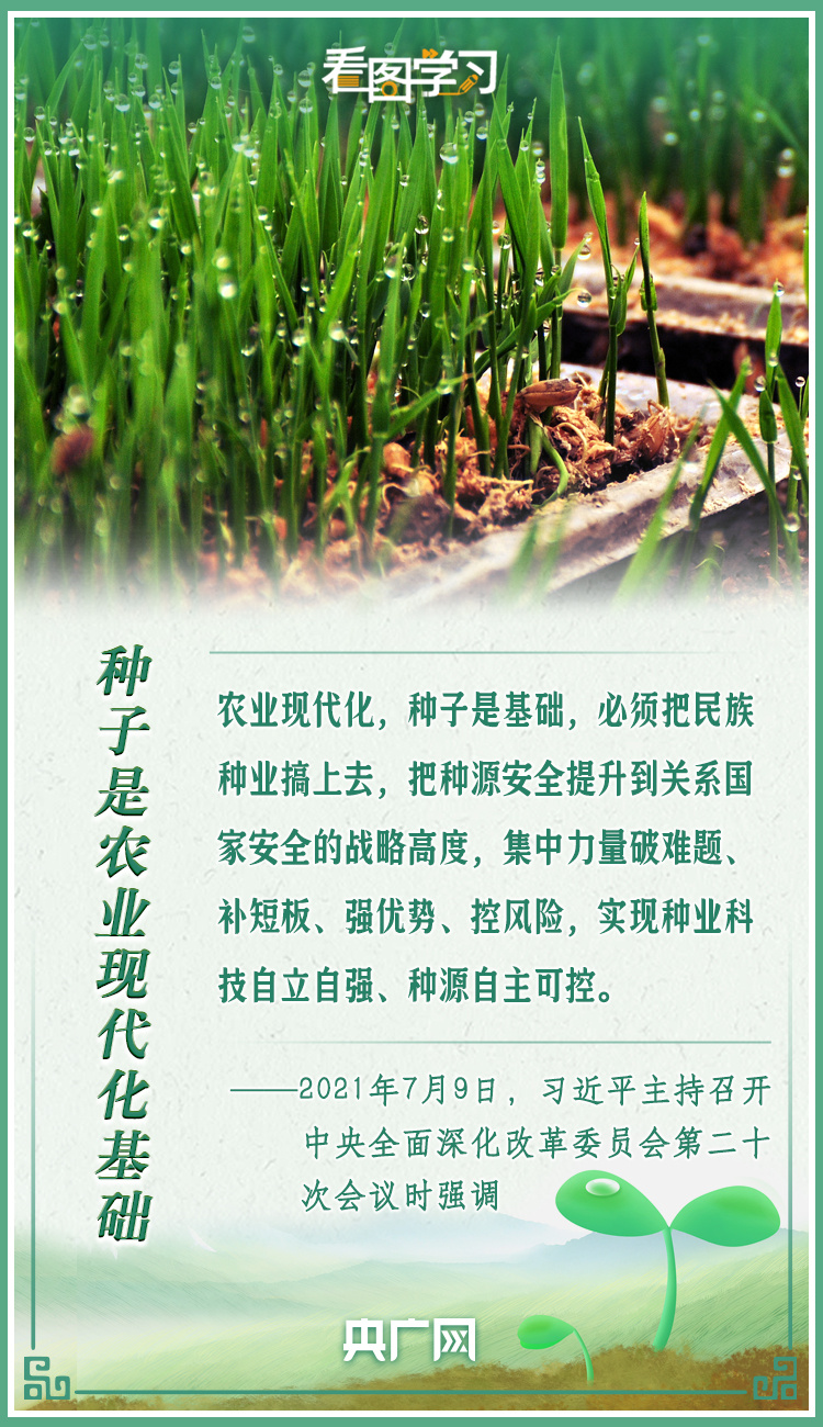 看圖學習(xi) ｜牢記總書(shu) 記叮囑 攥緊種子端牢飯碗