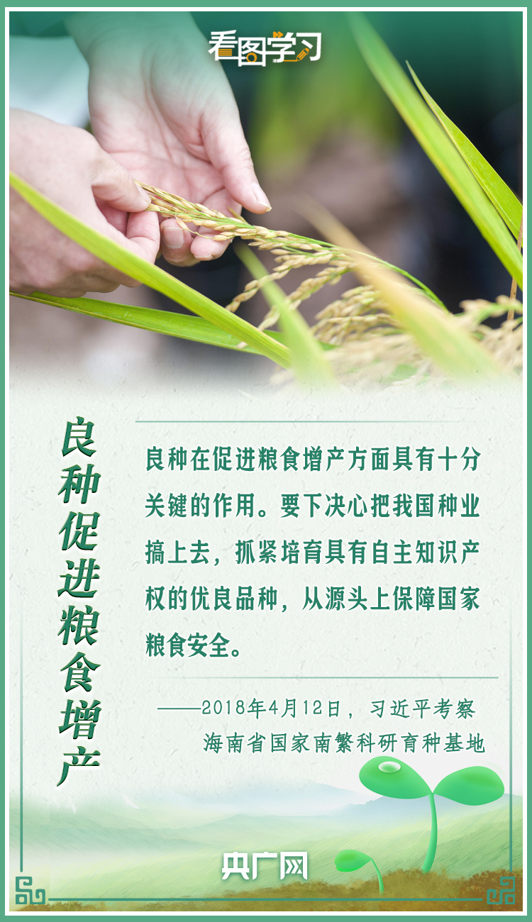 看圖學習(xi) ｜牢記總書(shu) 記叮囑 攥緊種子端牢飯碗