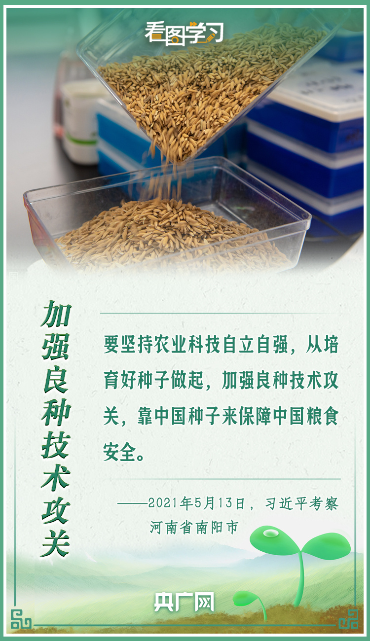 看圖學習(xi) ｜牢記總書(shu) 記叮囑 攥緊種子端牢飯碗