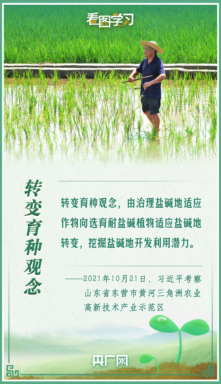看圖學習(xi) ｜牢記總書(shu) 記叮囑 攥緊種子端牢飯碗