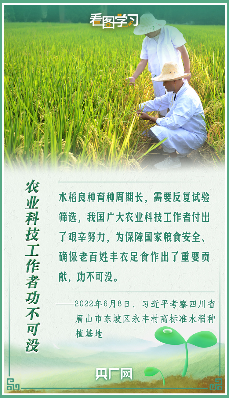 看圖學習(xi) ｜牢記總書(shu) 記叮囑 攥緊種子端牢飯碗
