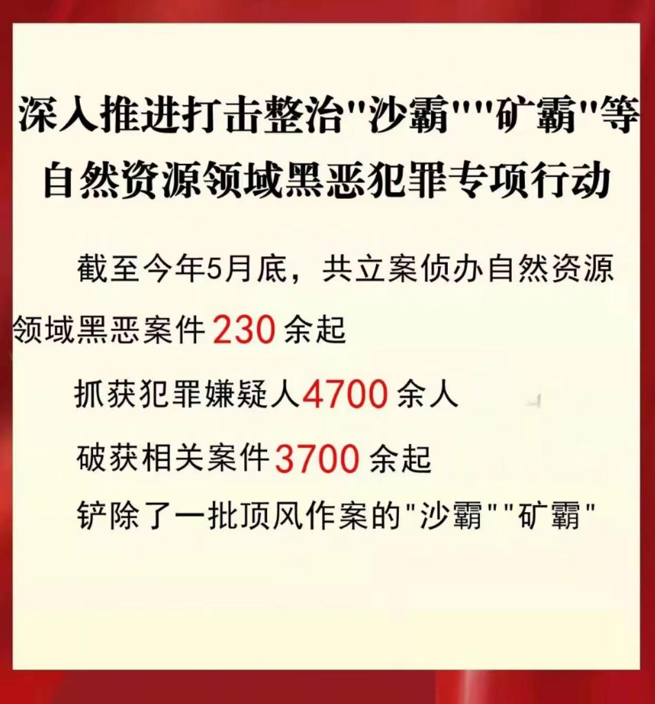 公安機關(guan) 打擊整治“沙霸”“礦霸”破案3700餘(yu) 起