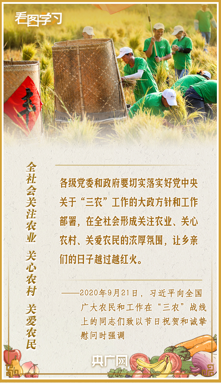 看圖學習(xi) ·豐(feng) 收節丨讓鄉(xiang) 親(qin) 們(men) 增收致富 總書(shu) 記這樣謀劃