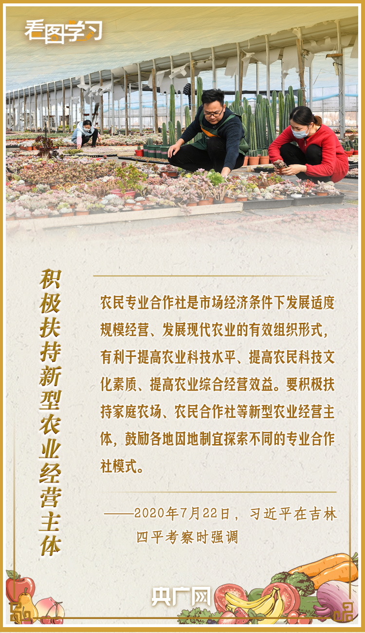 看圖學習(xi) ·豐(feng) 收節丨讓鄉(xiang) 親(qin) 們(men) 增收致富 總書(shu) 記這樣謀劃