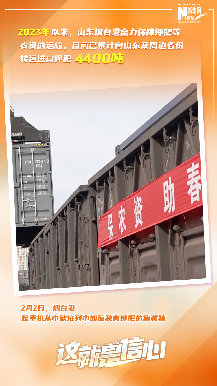 這就是信心｜實幹爭(zheng) 春早，外貿樞紐貨運忙