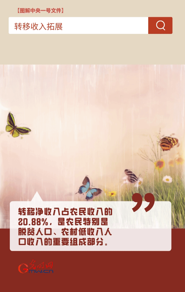 【圖解中央一號文件】“動”漫海報丨今年如何讓農(nong) 民的“錢袋子”鼓起來？
