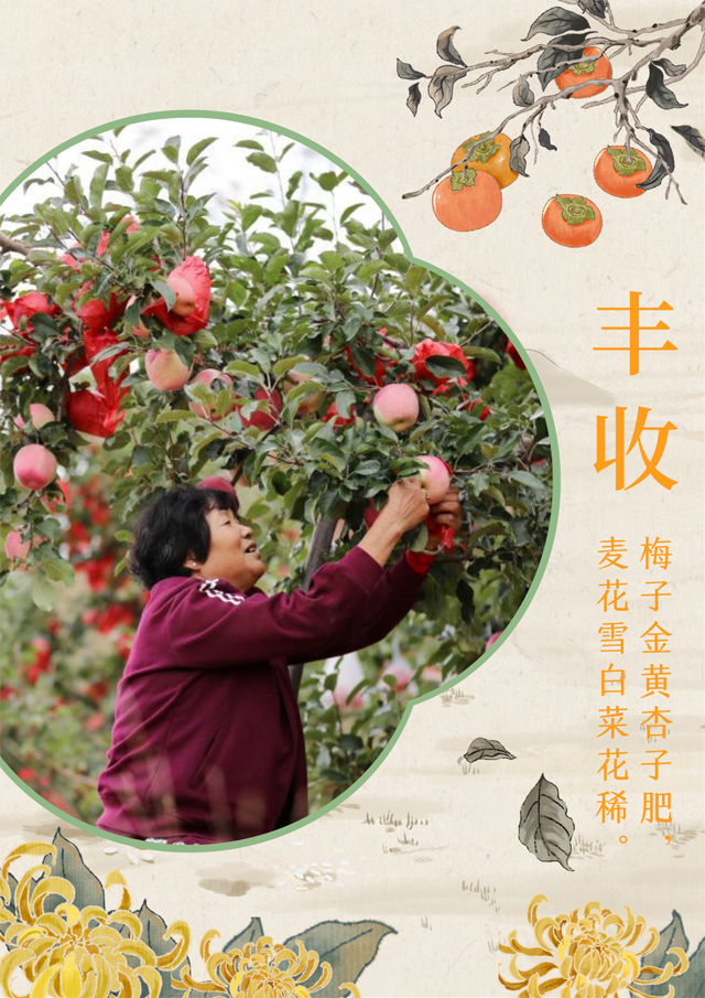 【海報】中國正能量 | 豐(feng) 收的中國生機勃勃