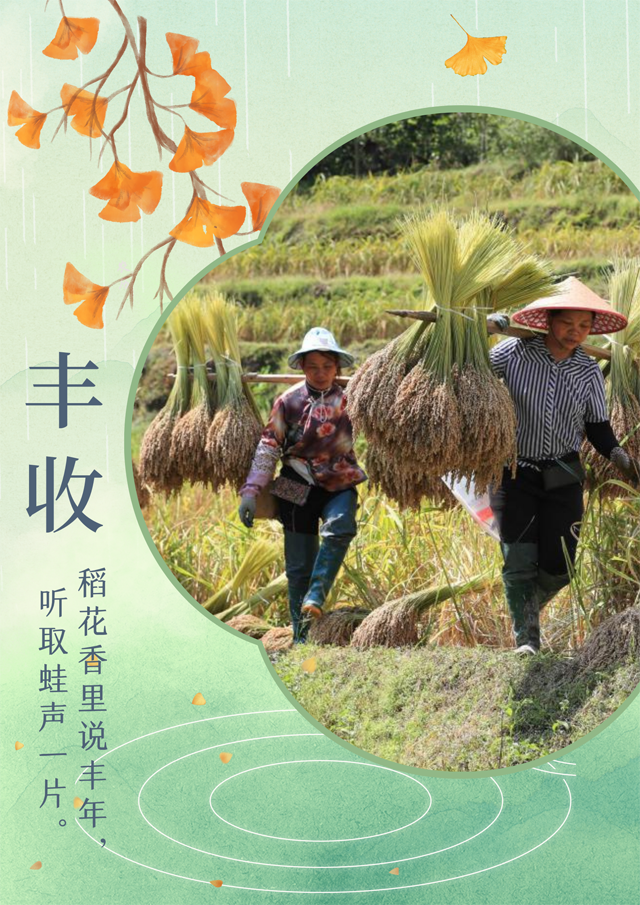 【海報】中國正能量 | 豐(feng) 收的中國生機勃勃