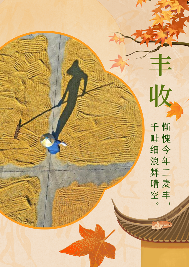 【海報】中國正能量 | 豐(feng) 收的中國生機勃勃