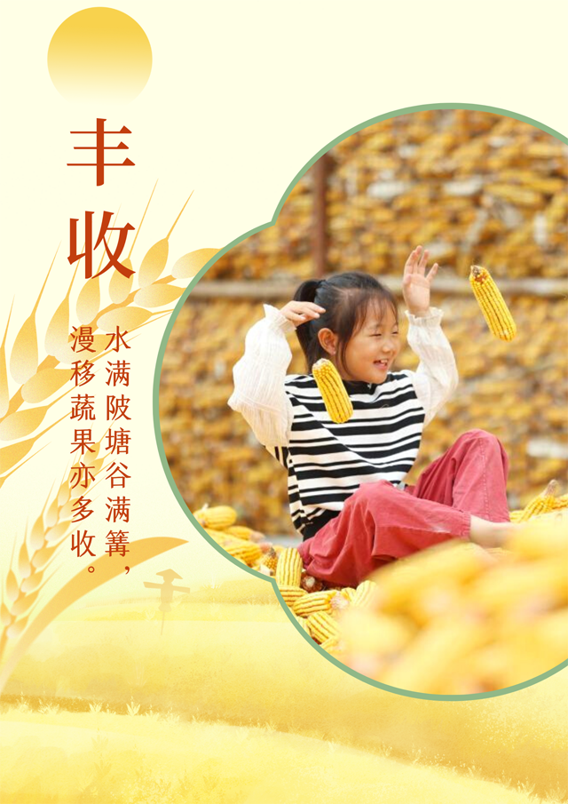 【海報】中國正能量 | 豐(feng) 收的中國生機勃勃