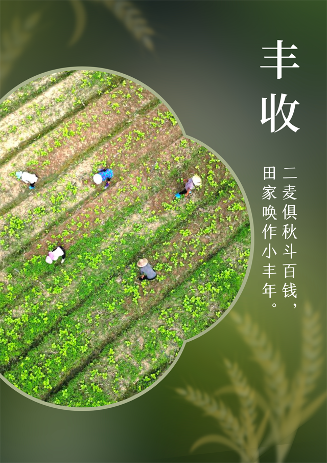 【海報】中國正能量 | 豐(feng) 收的中國生機勃勃