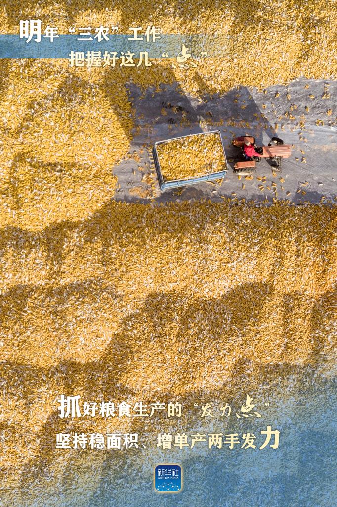 明年“三農(nong) ”工作，這幾個(ge) “點”要把握好