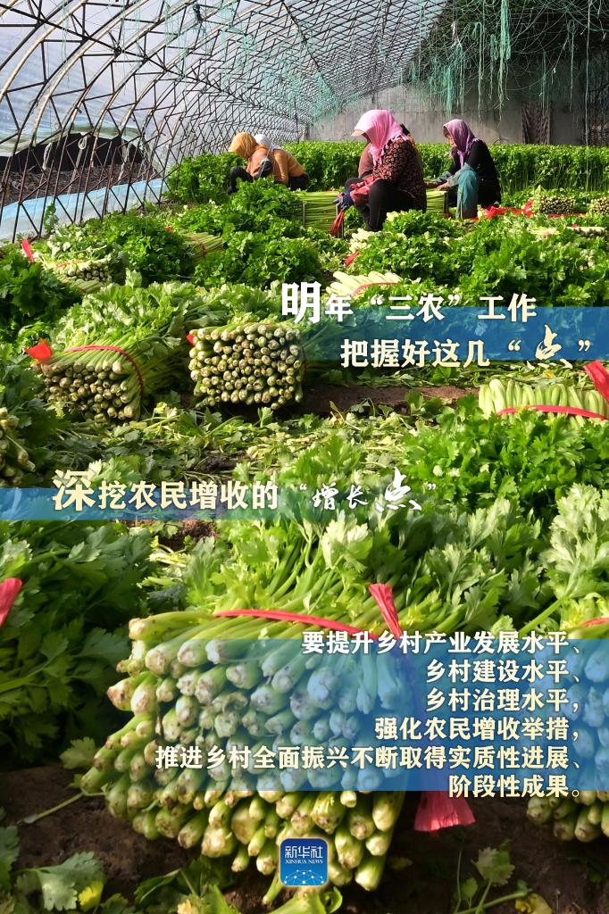 明年“三農(nong) ”工作，這幾個(ge) “點”要把握好