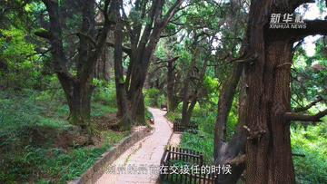 習(xi) 近平講述的故事｜青蒼簇擁越千年