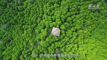 習(xi) 近平講述的故事｜青蒼簇擁越千年