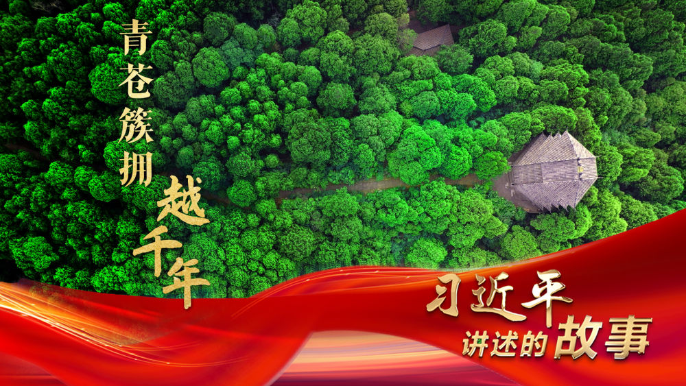 習(xi) 近平講述的故事｜青蒼簇擁越千年