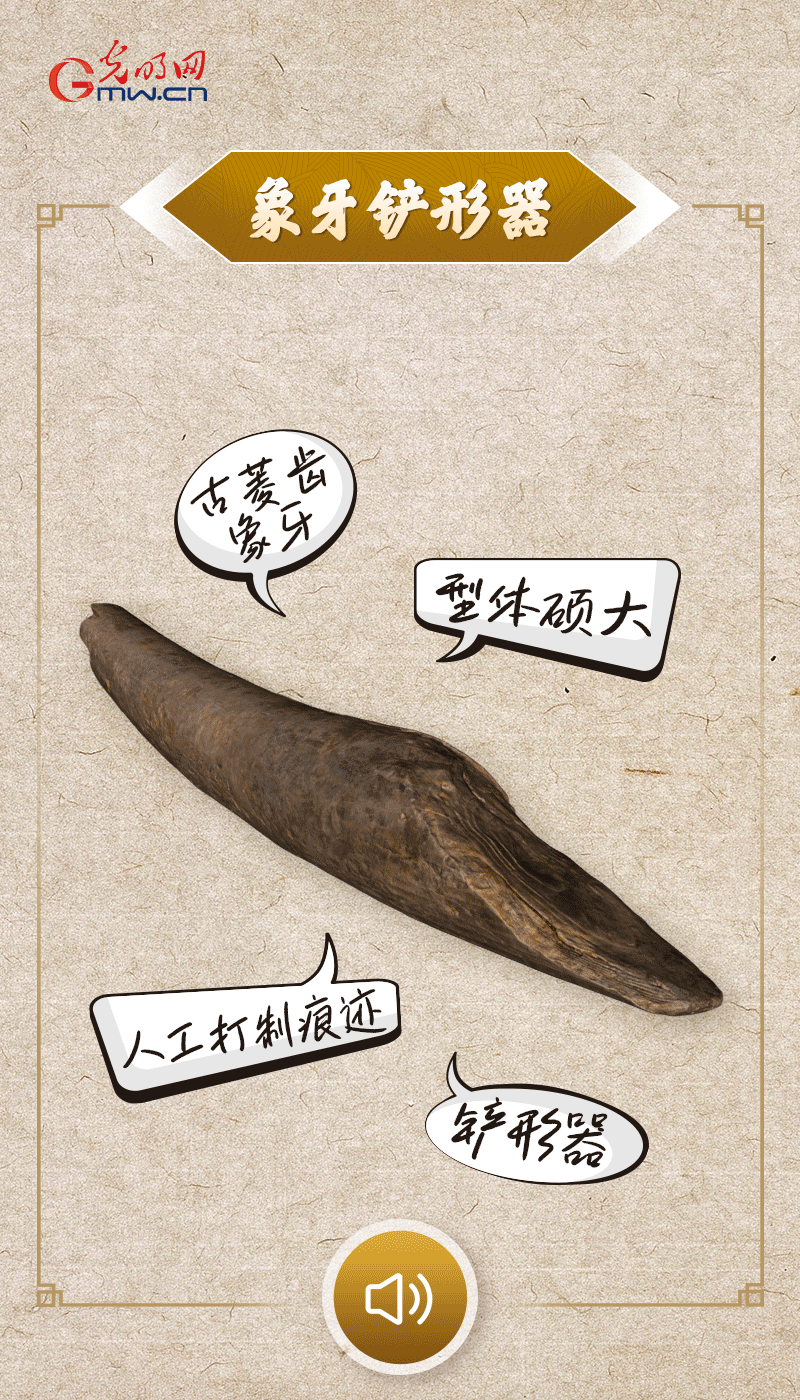 文物會(hui) 說話 |@所有人，帶你看看“十大考古新發現”的新故事