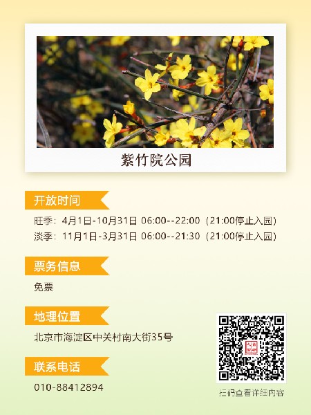 追花指南第二期！京城三月裏最撩人的玉蘭(lan) 觀賞地