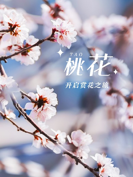 追花指南第三期！別等了 今天就去和桃花撞個(ge) 滿懷