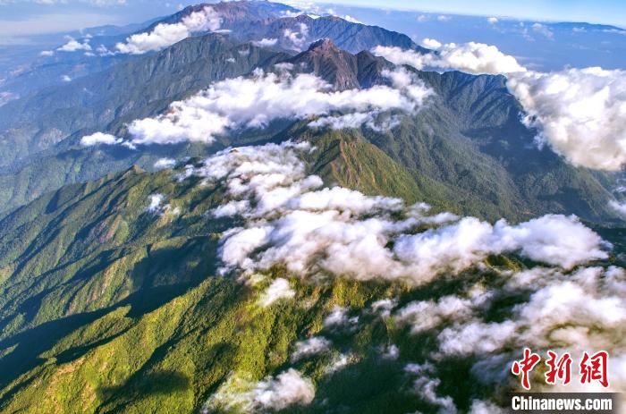雲(yun) 南保山推行“林長製”築牢中國西南生態安全屏障