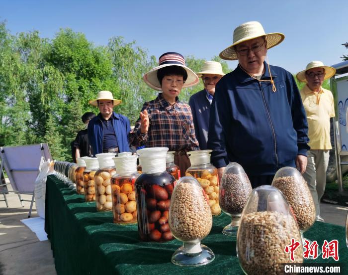 青海：利用冷涼氣候，打造高原綠色種業(ye) 輸出地