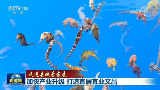 【走進縣城看發展】加快產(chan) 業(ye) 升級 打造宜居宜業(ye) 文昌