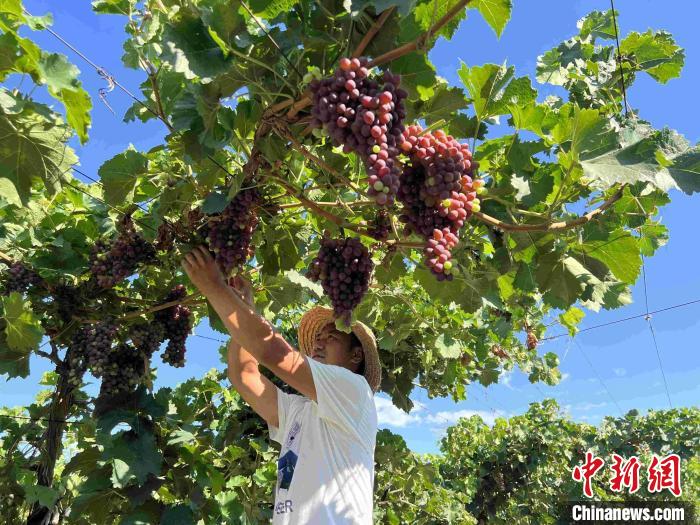 新疆多地“靜態管理”下各行業(ye) 有條不紊