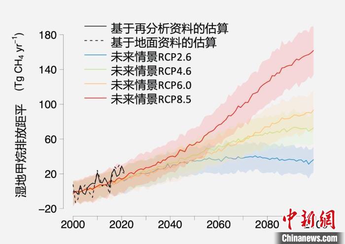 基於(yu) 觀測的濕地甲烷排放變化與(yu) 未來氣候變化情景下估算的對比。　中科院青藏高原所 供圖