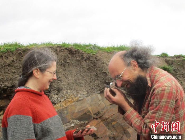 中外合作研究發現：4.62億(yi) 年前威爾士化石保存多種海洋生物