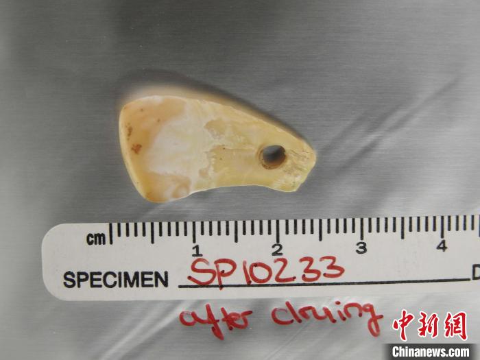 約2萬(wan) 年前墜飾複原古人類DNA國際創新研發非破壞性提取方法