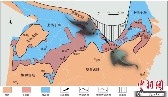 華南地區誌留紀早期古地理圖和盔甲魚類化石產(chan) 地(山顯任改自陳旭、戎嘉餘(yu) ，1996；戎嘉餘(yu) 等，2012) 中科院古脊椎所 供圖