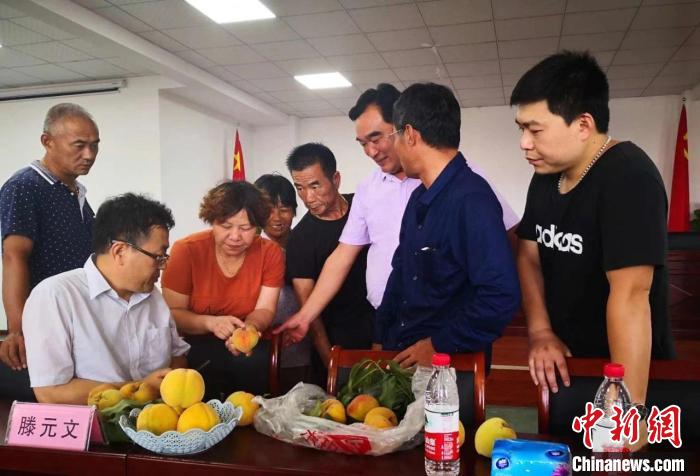 民進浙江省委會(hui) 為(wei) 三裏橋黃桃種植戶送技術、送指導。　嘉善統戰 供圖