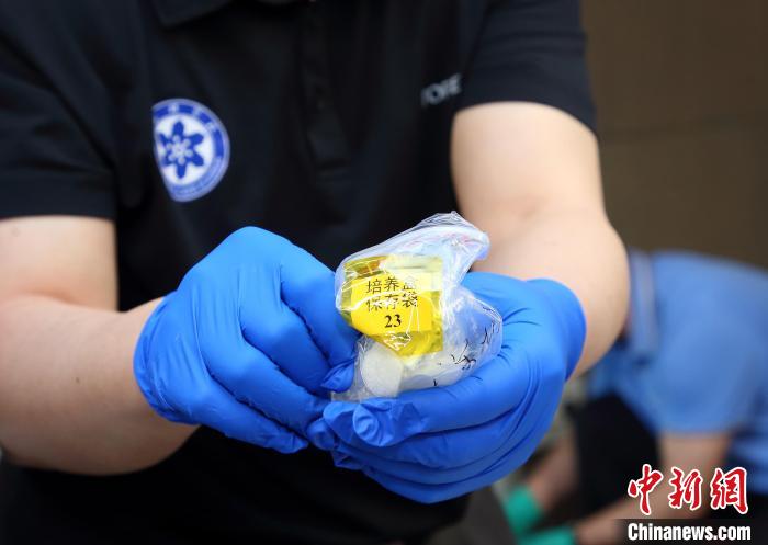 隨神舟十五號返回地麵的空間科學實驗樣品。　中科院空間應用中心 供圖