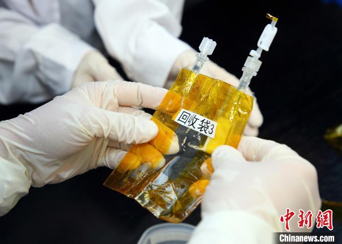 隨神舟十五號返回地麵的空間科學實驗樣品。　中科院空間應用中心 供圖