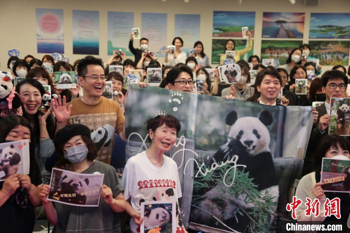 由中國駐東(dong) 京旅遊辦事處和東(dong) 京中國文化中心共同主辦的大熊貓“香香”生日會(hui) 在日本東(dong) 京舉(ju) 辦 蔣文月 攝