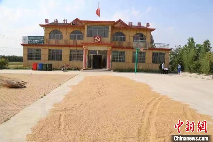農(nong) 民在邳莊鎮尚莊村黨(dang) 群服務中心大院裏曬糧。　賈萌 攝