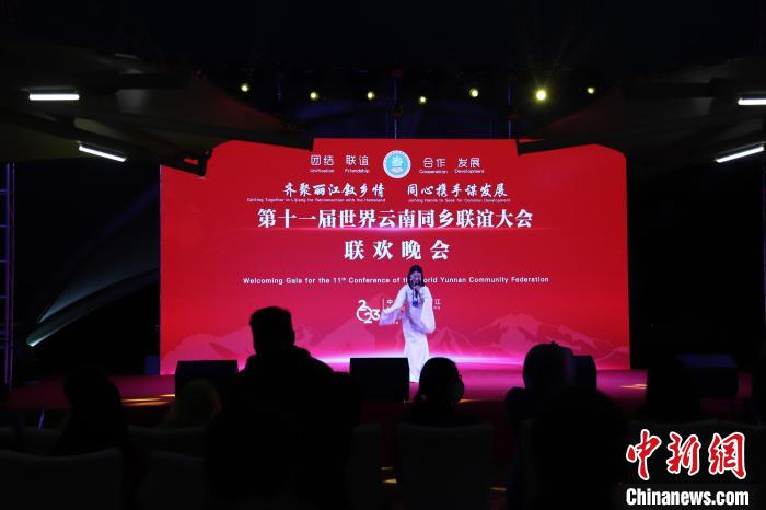 圖為(wei) 第十一屆世界雲(yun) 南同鄉(xiang) 聯誼大會(hui) 舉(ju) 辦聯歡晚會(hui) 。　崔永江 攝