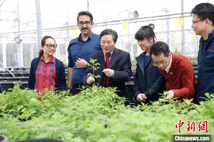 民盟盟員唐克軒當選歐洲科學院院士願天下無“瘧”