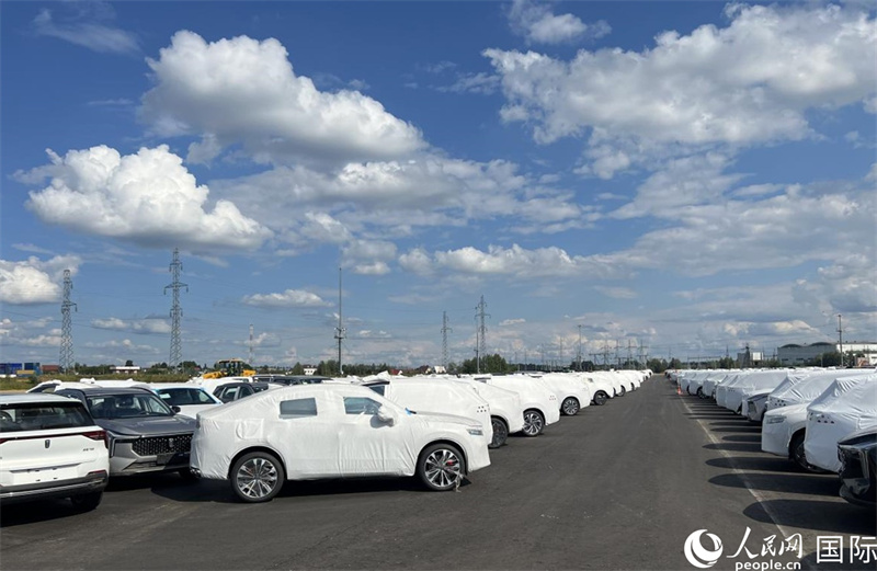 莫斯科別雷拉斯特物流中心內(nei) 的中國品牌汽車。人民網記者 申佳平攝