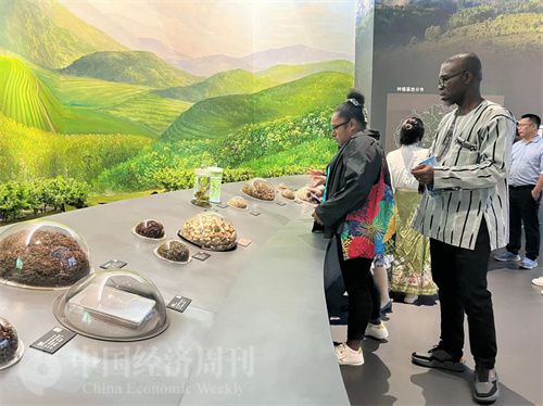  （在中國藥都中醫藥博物館，外媒記者了解中醫藥發展史。中國經濟周刊記者 郭誌強 攝）