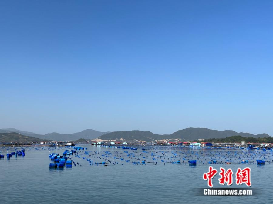 霞浦縣海上魚排。<a target='_blank' href='https://www.easyfundingllc.com/' ><p  align=