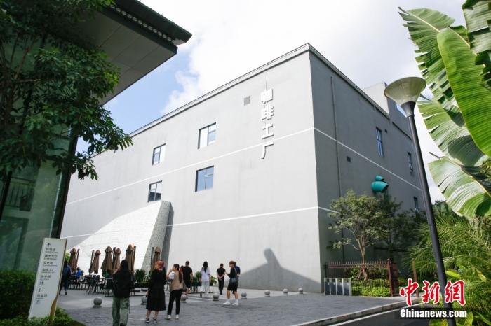 圖為(wei) 采訪團一行參觀咖啡工廠。 曹淼欣 攝
