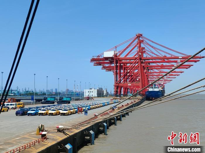 資料圖：國產(chan) 新能源車在上海外高橋港區海通碼頭“整裝待發”。　浦帆 攝